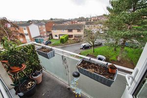 Photo 12- click for photo gallery